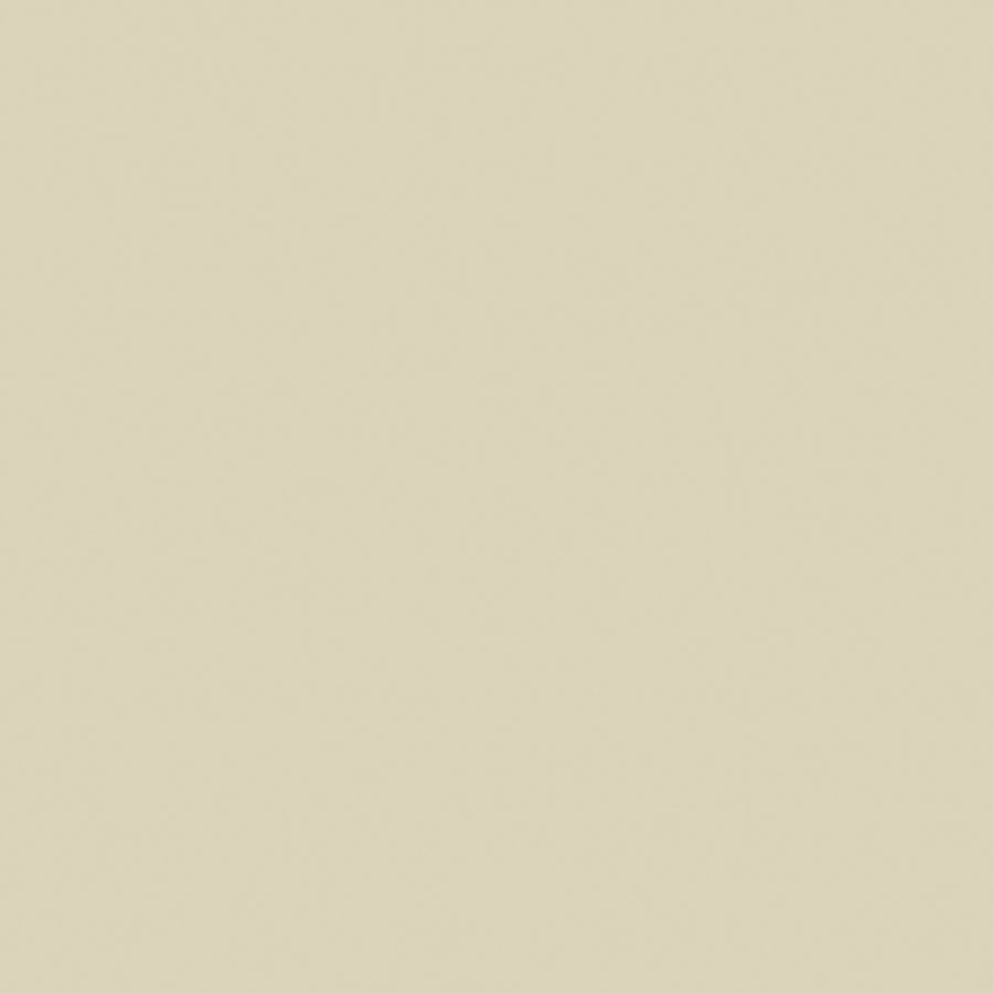 Corian® Solid Surface Bone