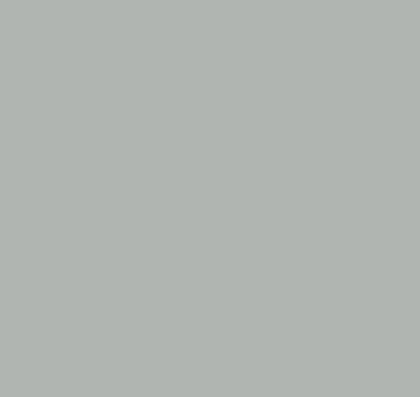 Corian® Solid Surface Silver Gray
